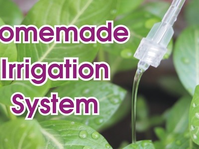 How to make Cheap Water Irrigation System for Plants at Home