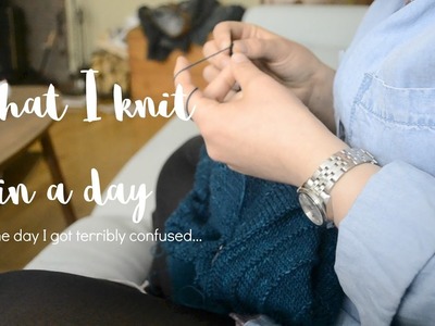 WHAT I KNIT IN A DAY - a knitting vlog