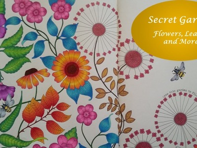 Flowers and Leaves | Secret Garden by Johanna Basford