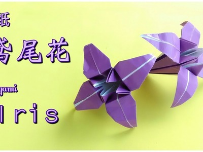 折纸鸢尾花 Origami Iris