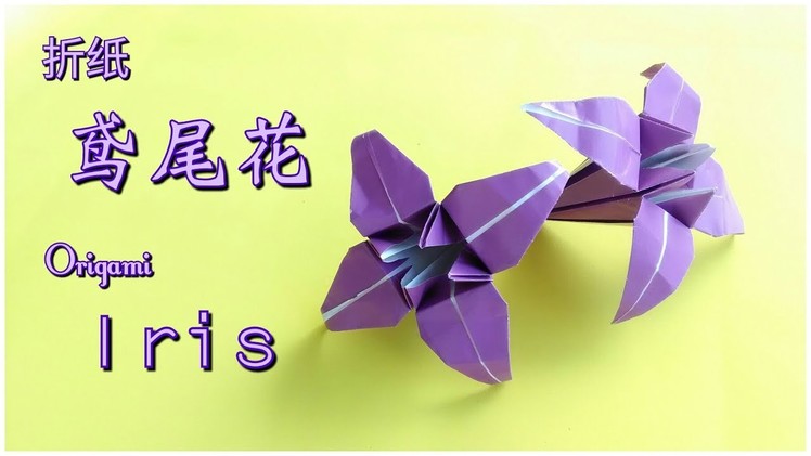 折纸鸢尾花 Origami Iris