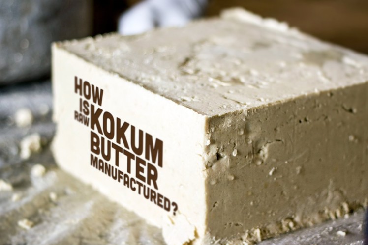 How is Kokum butter manufactured? (garcinia indica seed butter)