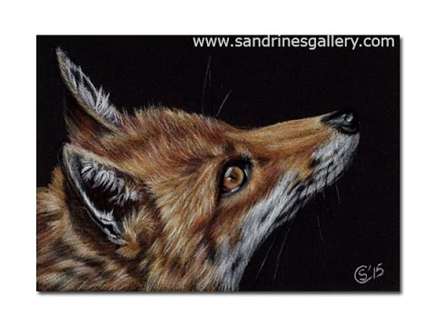 How to draw a fox on black paper with colored pencils