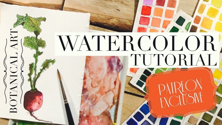 How to use Watercolors full workshop: Botanical Art