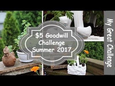 $5 Goodwill Challenge || Summer 2017 ||