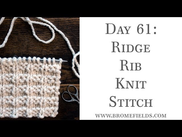 Day 61 : Ridge Rib Knit Stitch : #100daysofknitstitches