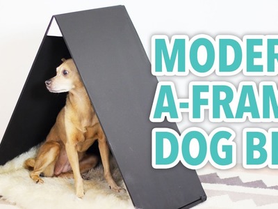 DIY Dog Bed: Modern A-Frame Cabin - HGTV Handmade