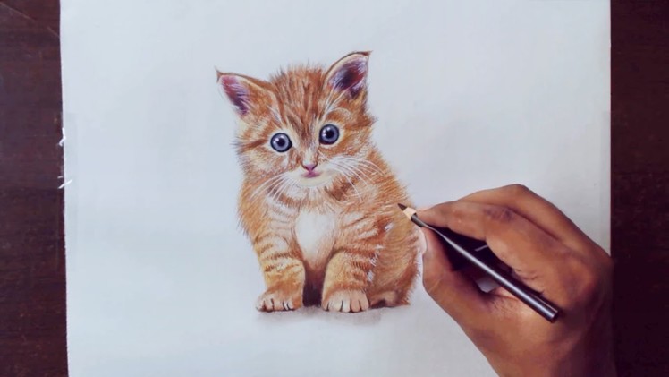 Drawing Animals 1 - Drawing a kitty - prismacolor pencils