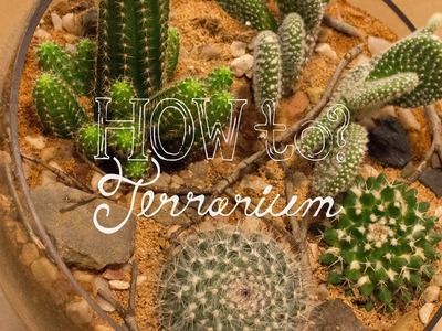 Make a Cactus Terrarium - How To Terrarium ep. 4