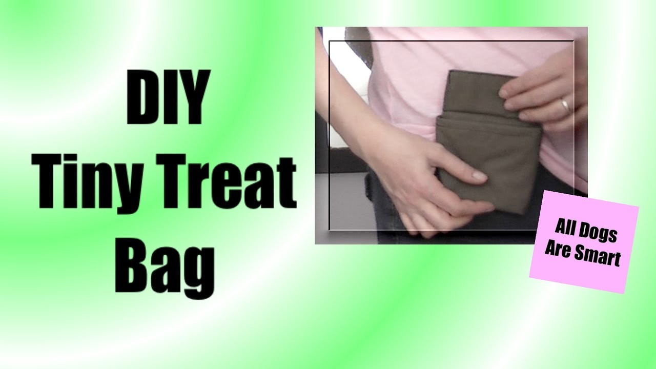 diy treat pouch