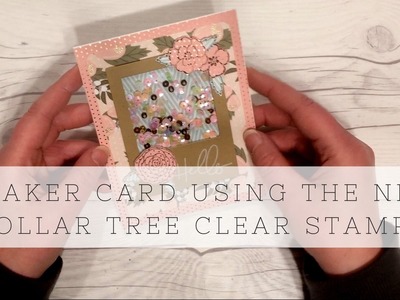 Shaker Card Using NEW Dollar Tree Clear Stamps - Process video