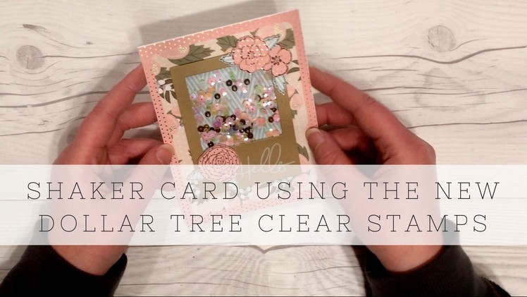 Shaker Card Using NEW Dollar Tree Clear Stamps - Process video
