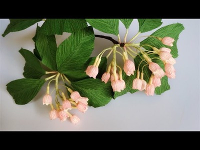 ABC TV | How To Make Enkianthus Campanulatus Paper Flower From Crepe Paper - Craft Tutorial