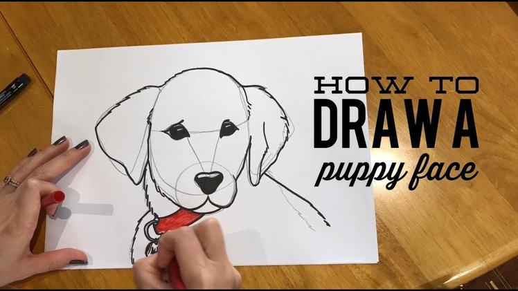Beginners' Lesson - How to Draw a Puppy Face