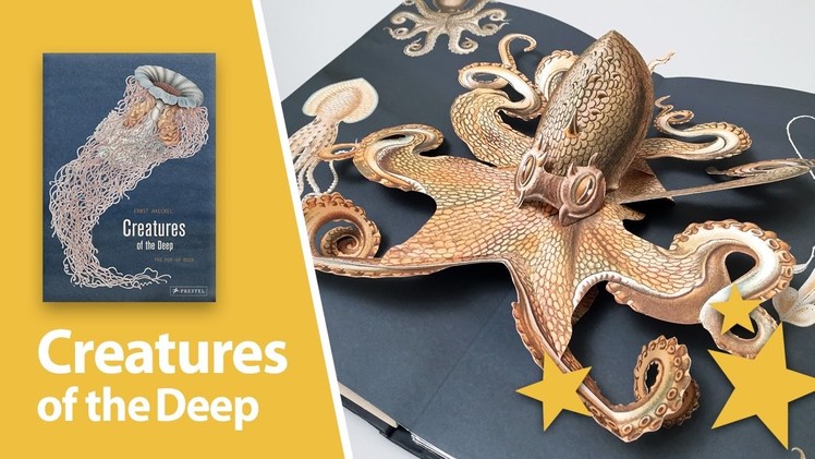 Creatures of the Deep: The Pop-up Book by Maike Biederstaedt