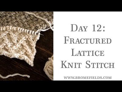 Day 12 Fractured Lattice Knit Stitch #100daysofknitstitches