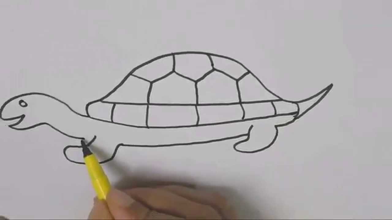 How to draw a Turtle 2 :Drawing tutorial step by step for kids children ...