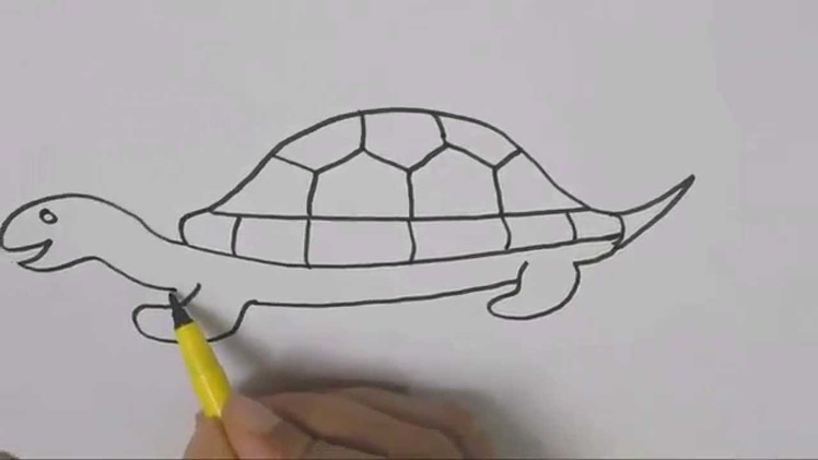 How to draw a Turtle 2 :Drawing tutorial step by step for kids children beginners