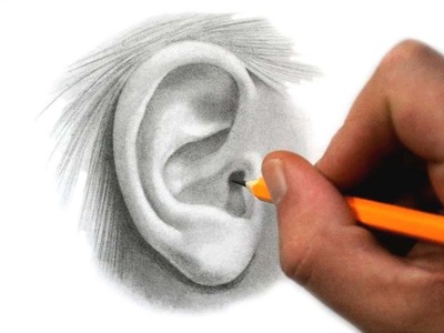 How to Draw an Ear