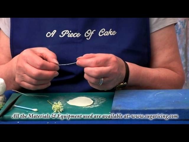 Making a Flower Paste Christmas Rose (Part 1)