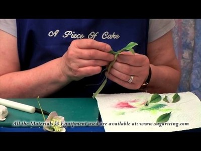 Making a Flower Paste Christmas Rose (Part 2)