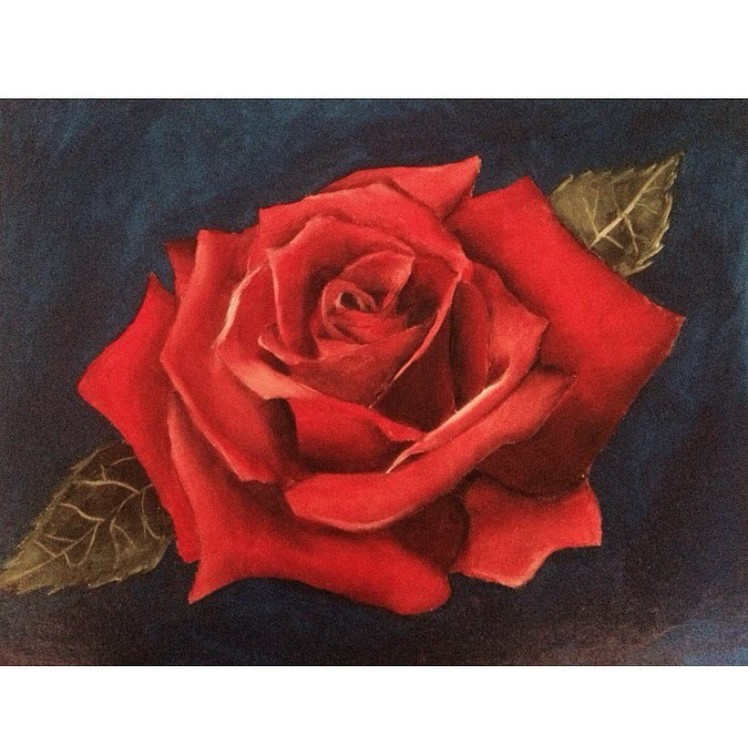 Rose Painting Timelapse