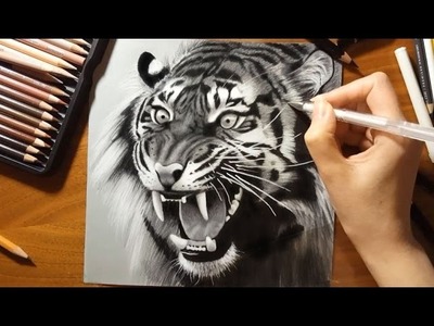 Speed Drawing: a Roaring Tiger | Jasmina Susak