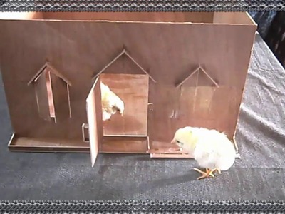 How Can Make Lovely baby Hen House