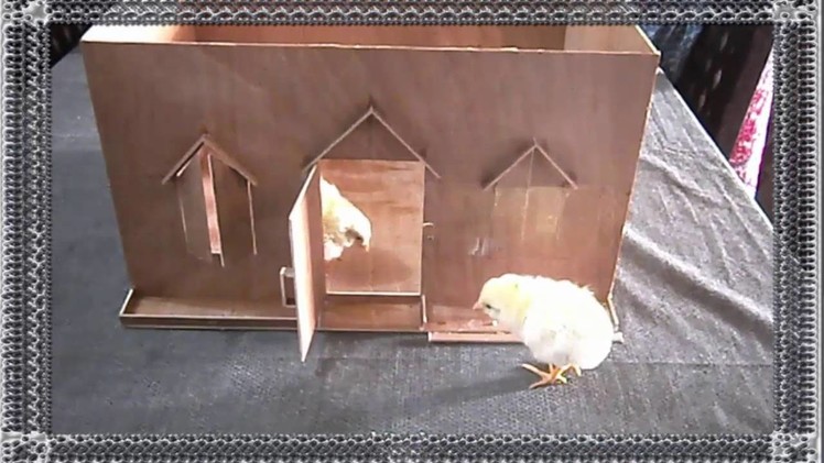 How Can Make Lovely baby Hen House