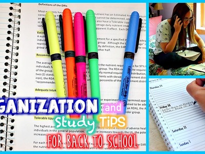 Study Tips and Organization for Back to School