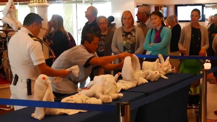 Towel Animal Folding Tutorial 4K Video from Cruise Ship 2015