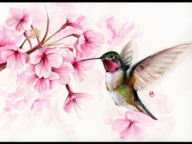 Watercolor Hummingbird and Cherry Blossom II Painting Demonstration