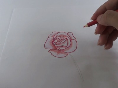 How to draw 3D flower. cara gambar bunga mawar