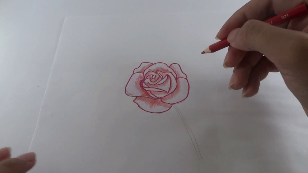 How To Draw 3d Flower Cara Gambar Bunga Mawar