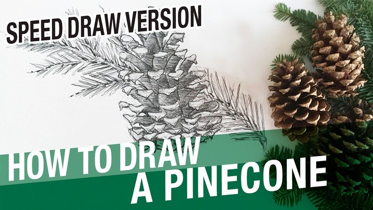 How To Draw A Pinecone & Pine Tree Branch (Winter) - Speed Drawing Version | Time Lapse Drawing