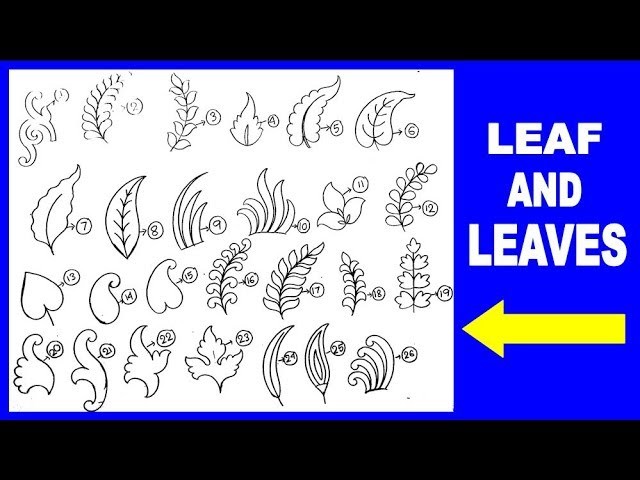 How To Draw Leaf And Leaves Various Type || Embroidery Design