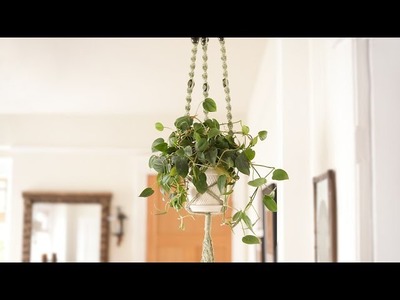 Macrame Plant Hanger - DIY Craft Tutorial