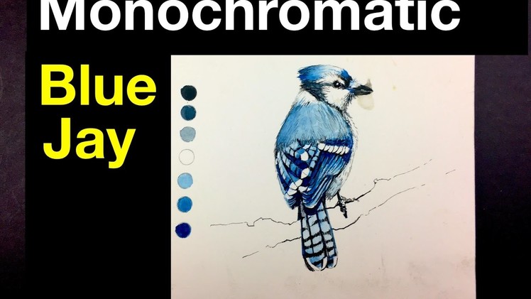 Beginner Watercolor Exercise | Monochromatic Painting of a Bird | Blue Jay