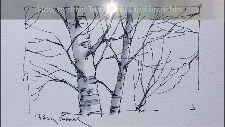 Tips and Techniques for drawing Better Tree trunks and Branches. Quick and Easy to Follow