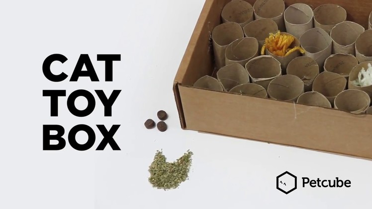 Cat Toy Box - make your own cat toy at home
