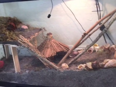 I BUILT A SECOND FLOOR IN THE HERMIT CRAB TANK!!!!!!