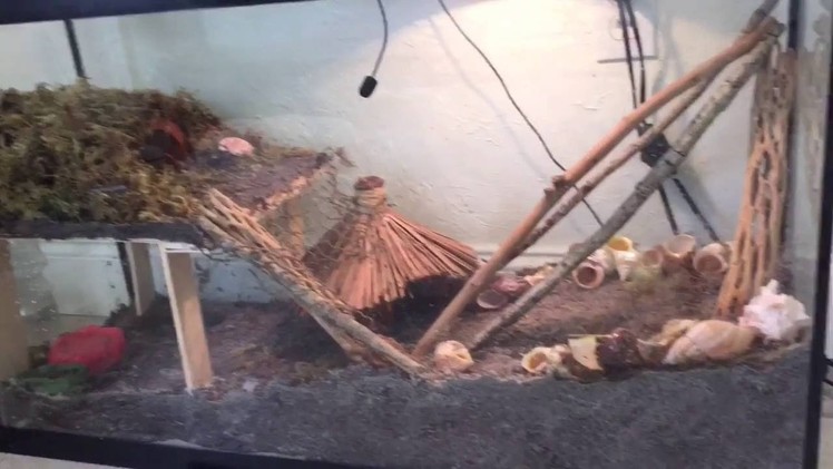 I BUILT A SECOND FLOOR IN THE HERMIT CRAB TANK!!!!!!