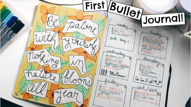 I Started a Bullet Journal! | First Bullet Journal Flip Through 2017