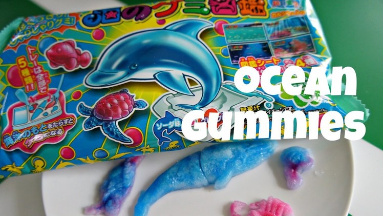 Ocean Life Gummy Kit | Whatcha Eating? #146