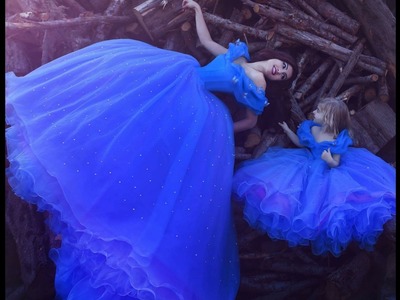 Real Life Cinderella Dress