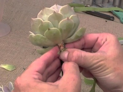 How to Wire (Prep) Succulents for Bouquets