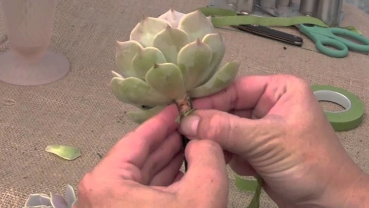 How to Wire (Prep) Succulents for Bouquets