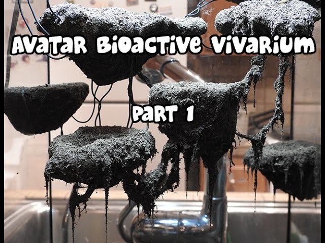 Avatar bioactive vivarium build (part 1)