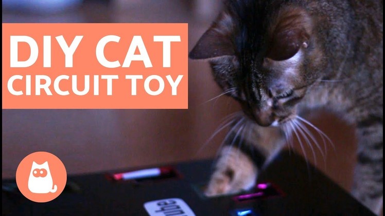 DIY Cat Box Toy - Circuit Toy for Cats Tutorial