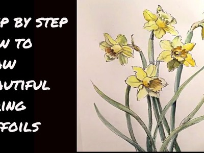 How to Draw a Dance of Daffodils at MIMI'S SKETCHBOOK